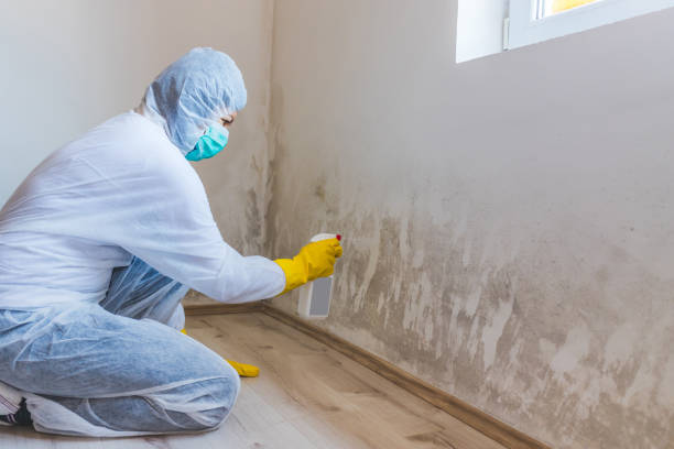 Hvac And Air Duct Mold Remediation inspection of HVAC system in Mount Union